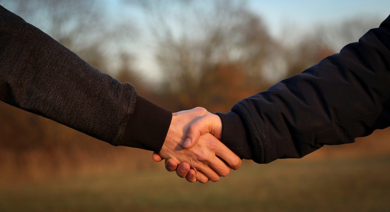 handshake, hands, friendship